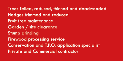 Fruit tree maintenance, garden / site clearance